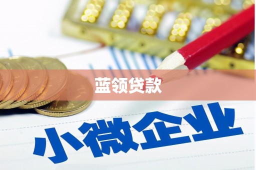天峨蓝领贷款