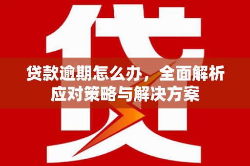 天峨贷款逾期怎么办，全面解析应对策略与解决方案