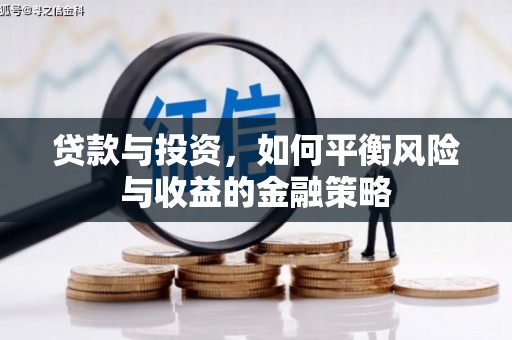 天峨贷款与投资，如何平衡风险与收益的金融策略