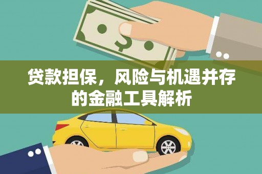 天峨贷款担保，风险与机遇并存的金融工具解析