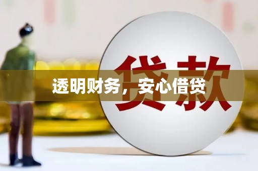 天峨透明财务，安心借贷