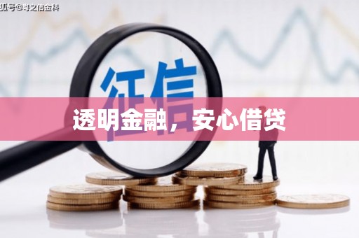 天峨透明金融，安心借贷