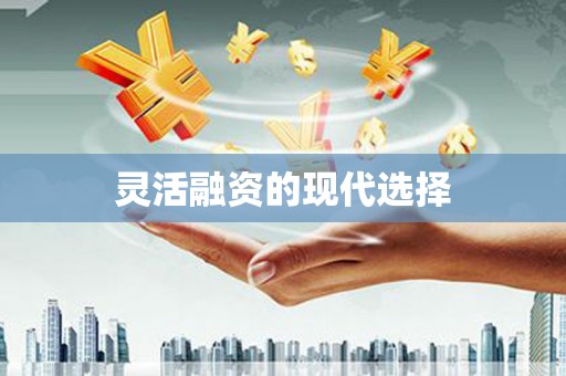 天峨灵活融资的现代选择