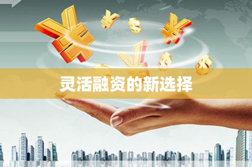 天峨灵活融资的新选择