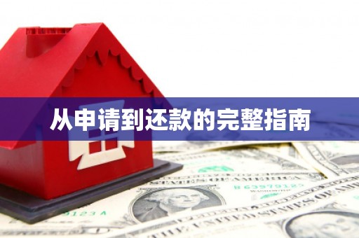 天峨从申请到还款的完整指南