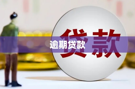 天峨逾期贷款