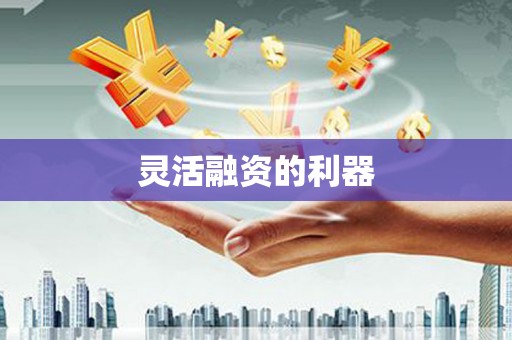 天峨灵活融资的利器