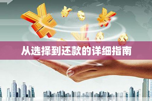 天峨从选择到还款的详细指南