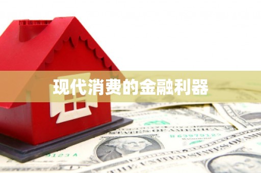 天峨现代消费的金融利器