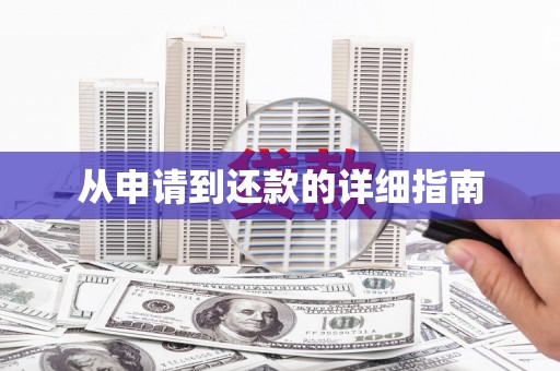 天峨从申请到还款的详细指南