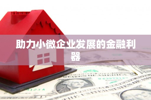 天峨助力小微企业发展的金融利器