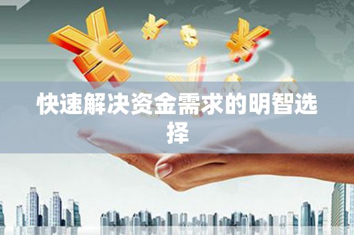 天峨快速解决资金需求的明智选择