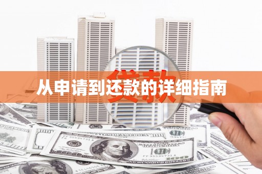 天峨从申请到还款的详细指南