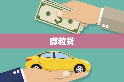 天峨微粒贷
