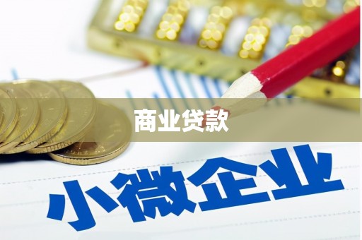 天峨商业贷款