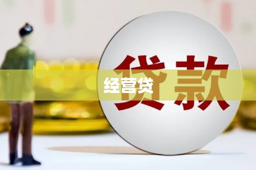 天峨经营贷