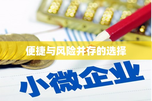 天峨便捷与风险并存的选择