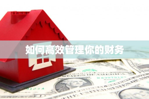 天峨如何高效管理你的财务