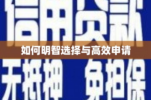 天峨如何明智选择与高效申请