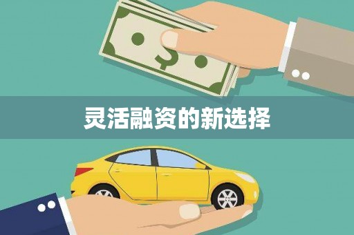 天峨灵活融资的新选择
