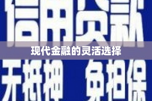 天峨现代金融的灵活选择