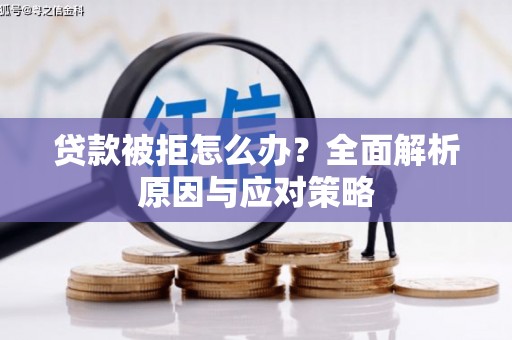 天峨贷款被拒怎么办？全面解析原因与应对策略