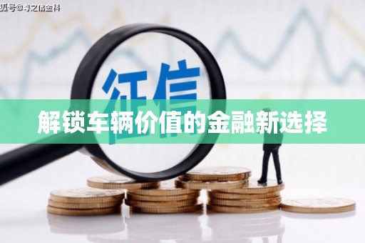 天峨解锁车辆价值的金融新选择