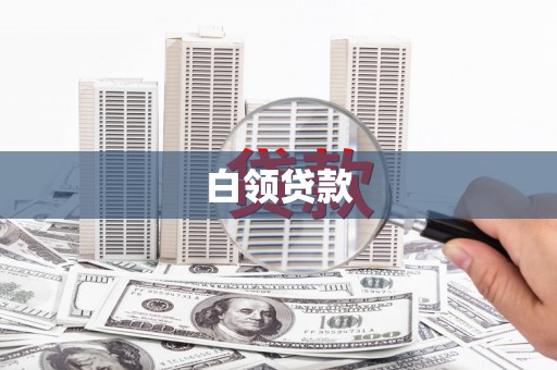 天峨白领贷款