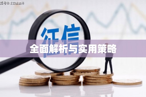 天峨全面解析与实用策略