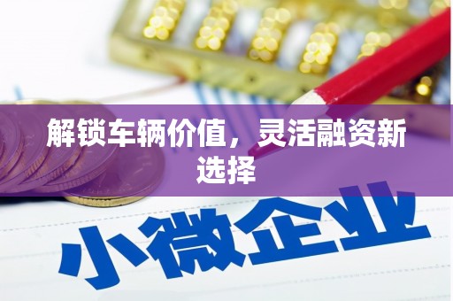 天峨解锁车辆价值，灵活融资新选择