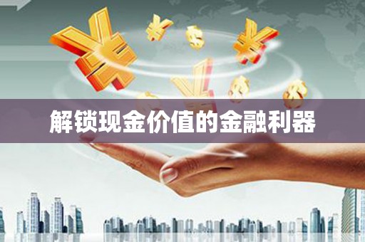 天峨解锁现金价值的金融利器