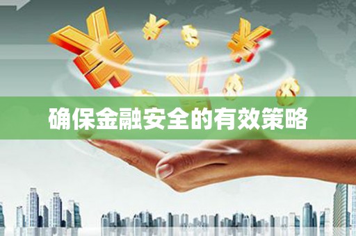 天峨确保金融安全的有效策略