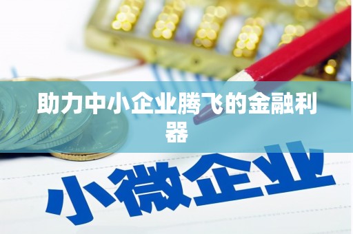 天峨助力中小企业腾飞的金融利器
