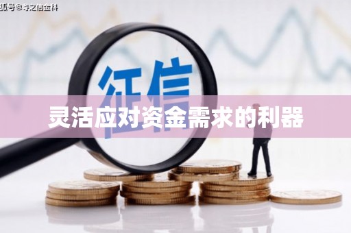 天峨灵活应对资金需求的利器