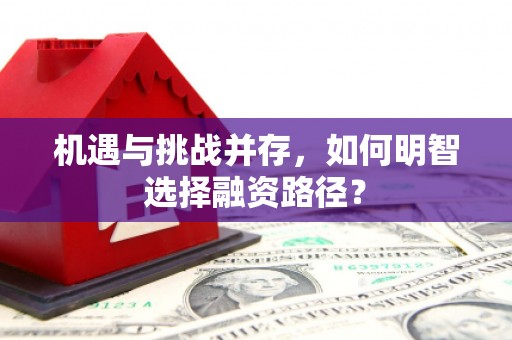 天峨机遇与挑战并存，如何明智选择融资路径？