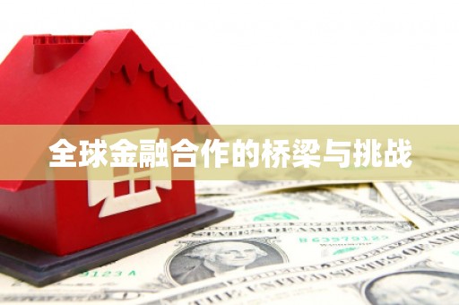 天峨全球金融合作的桥梁与挑战