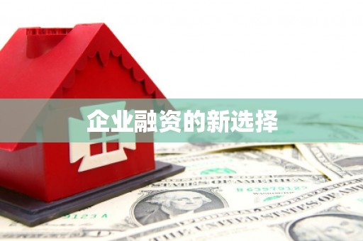 天峨企业融资的新选择