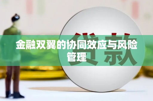 天峨金融双翼的协同效应与风险管理