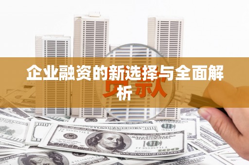 天峨企业融资的新选择与全面解析
