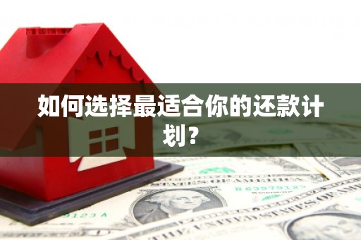 天峨如何选择最适合你的还款计划？