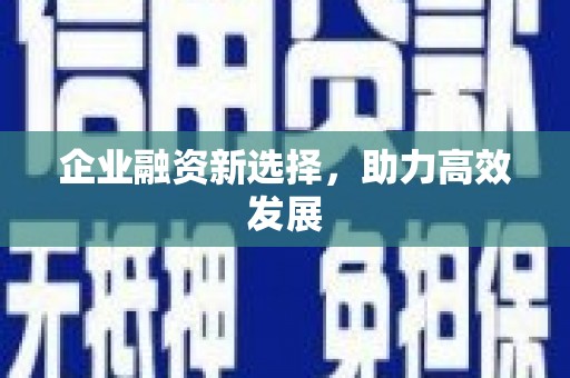 天峨企业融资新选择，助力高效发展