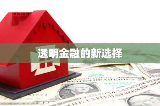 天峨透明金融的新选择