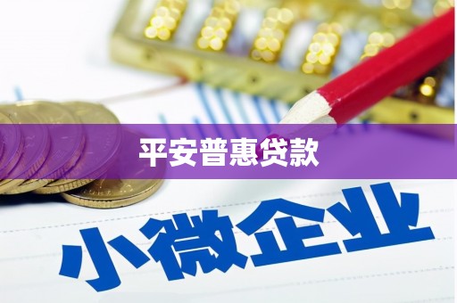 天峨平安普惠贷款