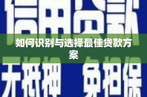 天峨如何识别与选择最佳贷款方案