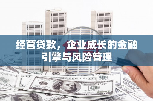 天峨经营贷款，企业成长的金融引擎与风险管理