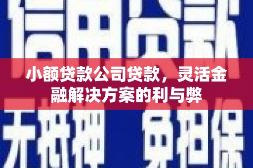 天峨小额贷款公司贷款，灵活金融解决方案的利与弊